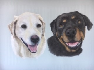 two dog faces