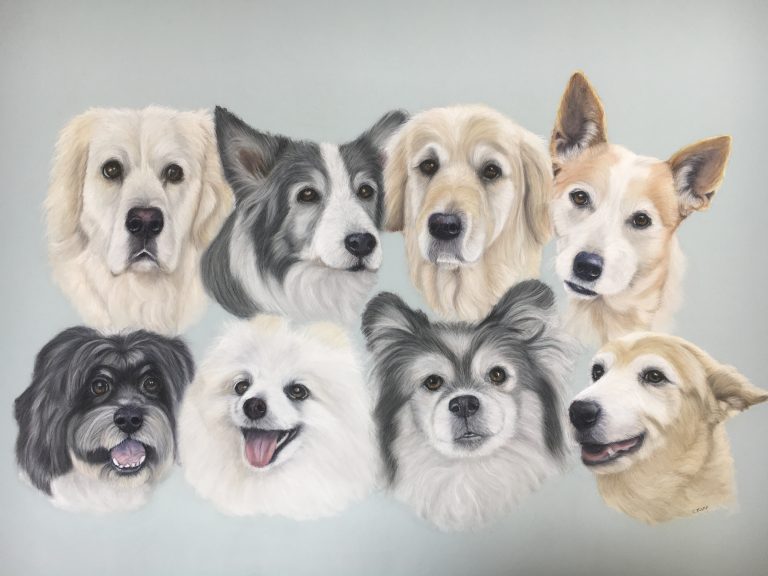 group of dog faces